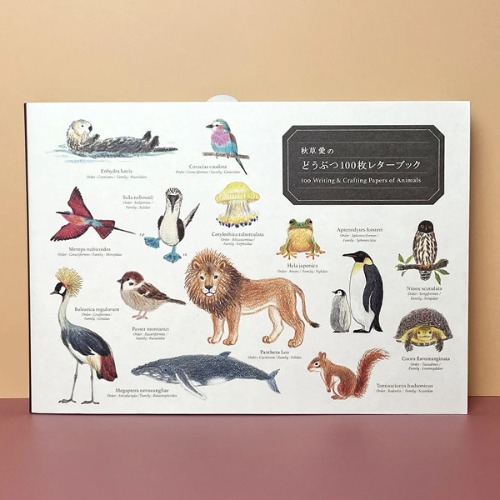 [PIE] 일본 100매 레터북/편지지/포장지-동물